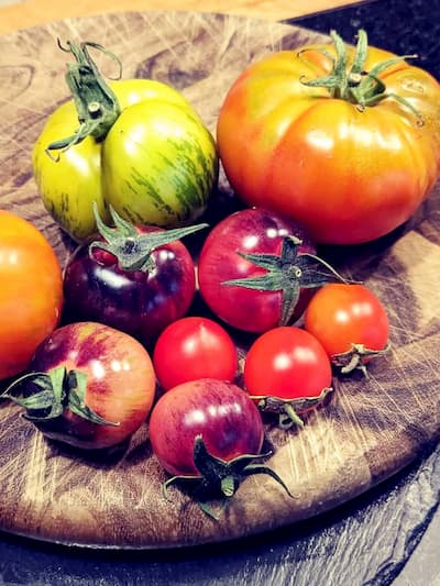 A selection of fresh tomatoes